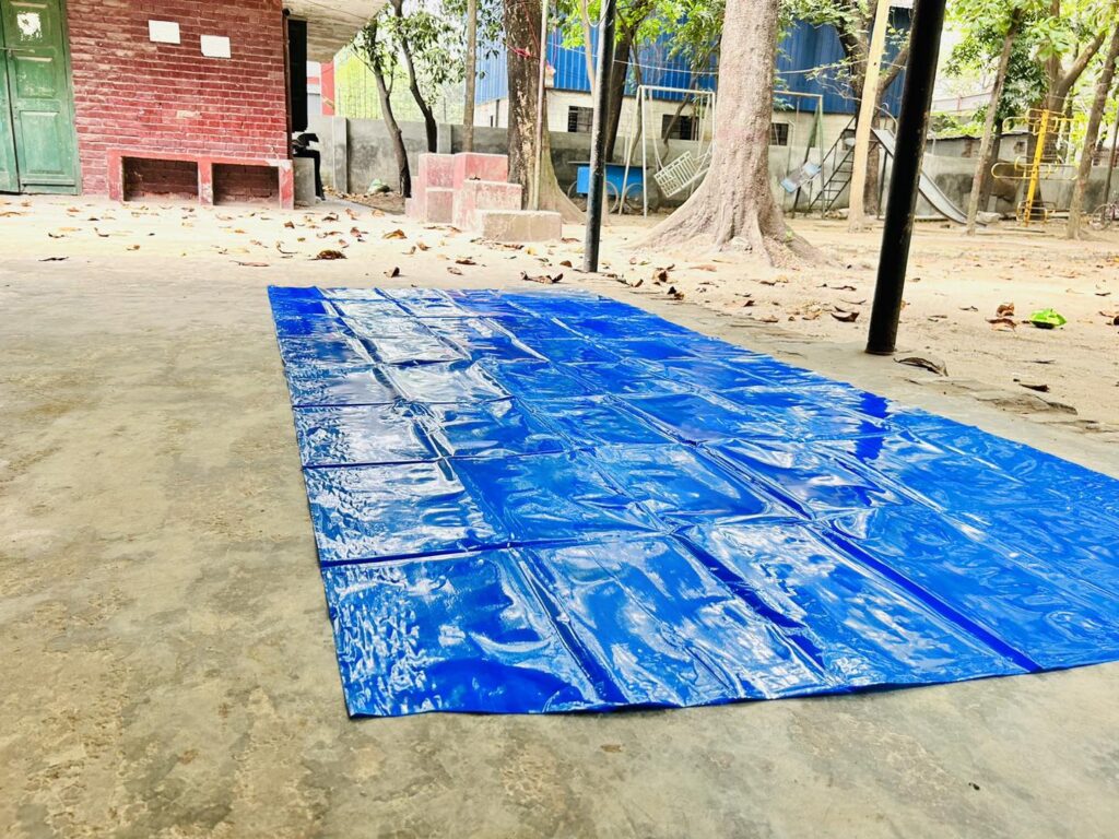 Blue organizer floor poly 10x6 feet